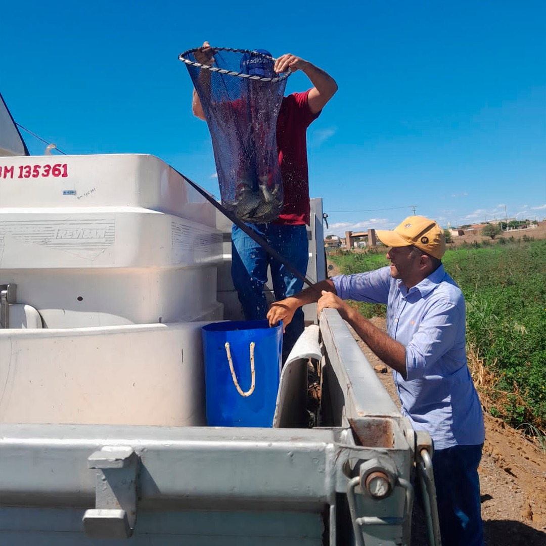 PREFEITURA DE MESSIAS TARGINO REALIZA ENTREGA 10 MIL ALEVINOS