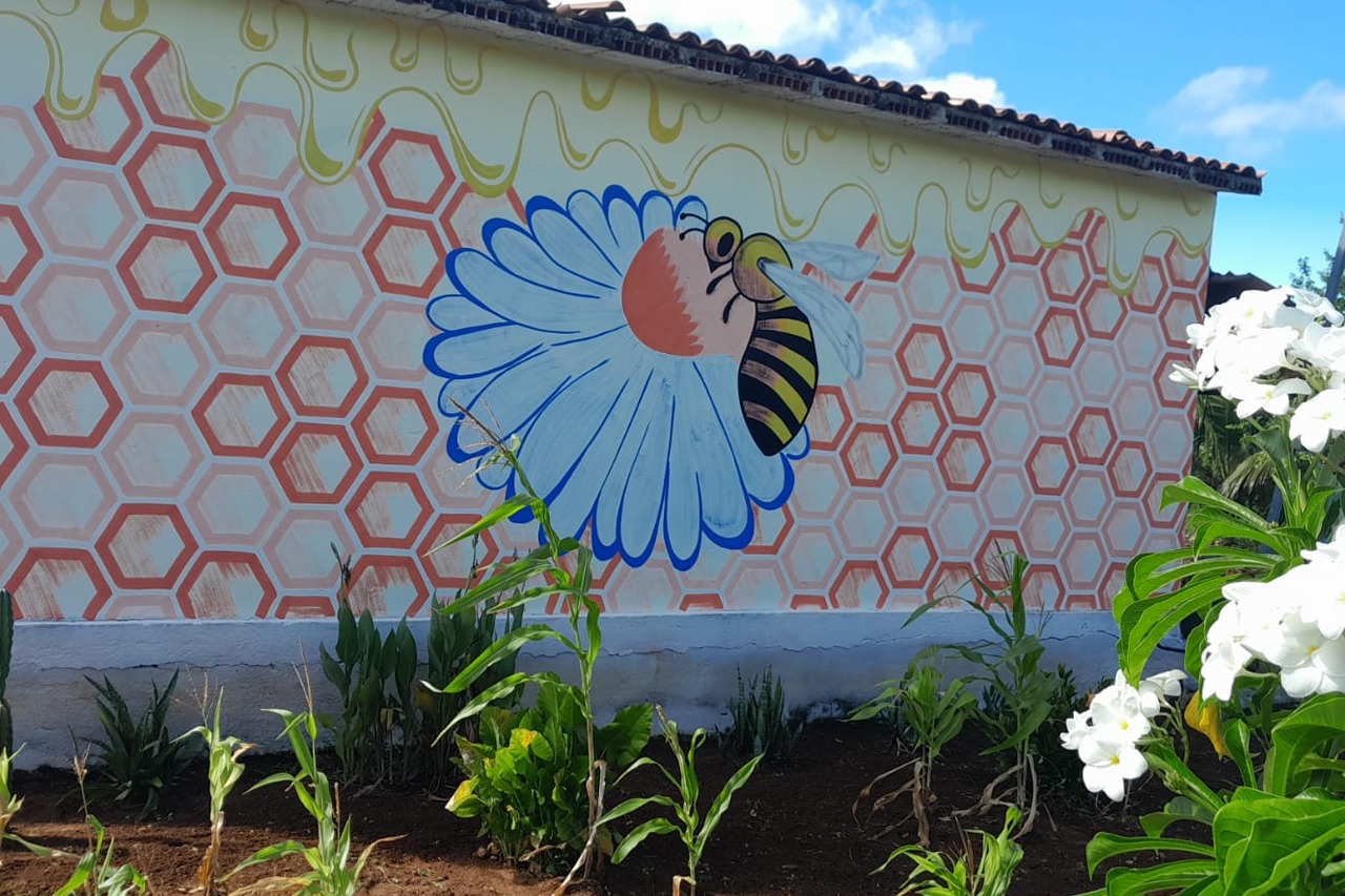 MESSIAS TARGINO REALIZARÁ REUNIÃO COM APICULTORES SOBRE A CADEIA DO MEL